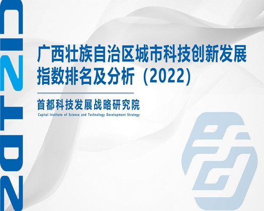 暴操大肥老骚逼【成果发布】广西壮族自治区城市科技创新发展指数排名及分析（2022）